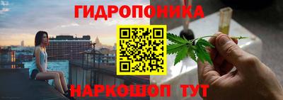метадон Гатчина