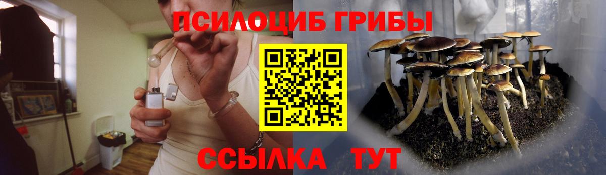Галлюциногенные грибы Psilocybine cubensis  Вход с VPN  Галлюциногенные грибы Cubensis  Отрадное 